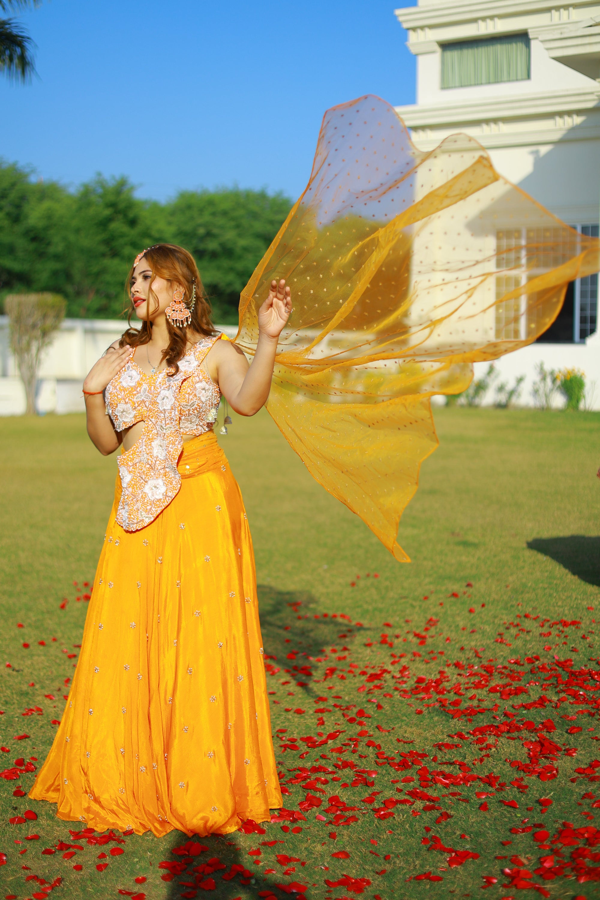 Saffron Glow - The Bloom